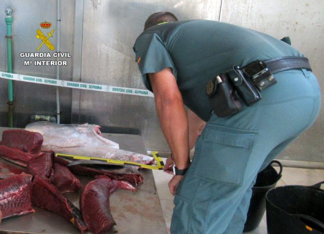 La Guardia Civil sorprende a dos furtivos con un atún rojo de más de 70 kilos en el puerto pesquero de Águilas - 1, Foto 1