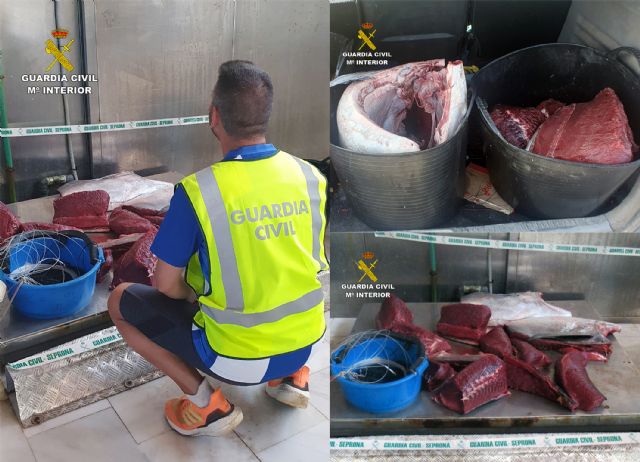 La Guardia Civil sorprende a dos furtivos con un atún rojo de más de 70 kilos en el puerto pesquero de Águilas - 3, Foto 3