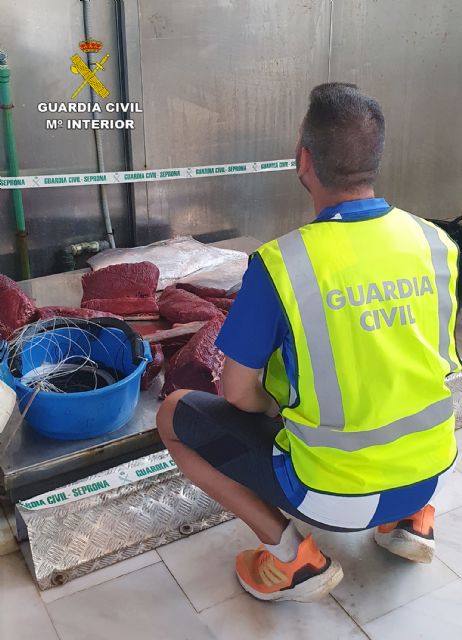 La Guardia Civil sorprende a dos furtivos con un atún rojo de más de 70 kilos en el puerto pesquero de Águilas - 5, Foto 5