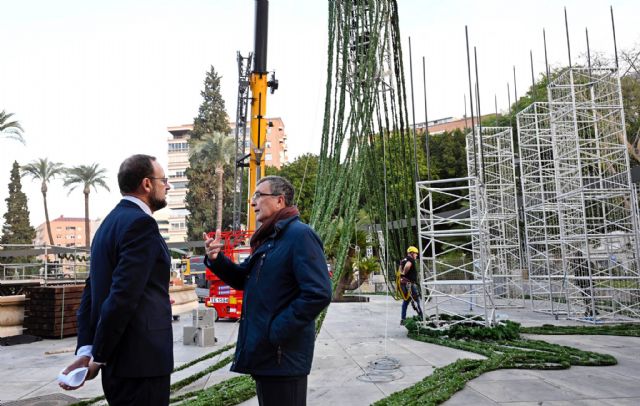 Comienza el montaje de los 35m del Gran Árbol de Navidad que dará luz al inicio de estas fiestas el 6 de diciembre - 1, Foto 1