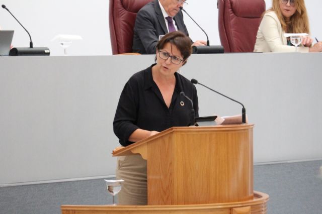 El PSOE saca adelante una moción en la Asamblea para poner en marcha un Plan Estratégico para el sector Editorial en la Región - 1, Foto 1