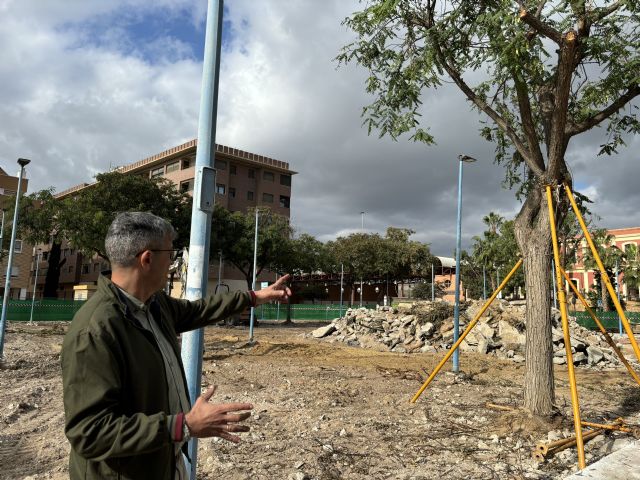 El Ayuntamiento se ve obligado a talar las once tipuanas de la plaza de la Estación ante el riesgo de caída - 1, Foto 1