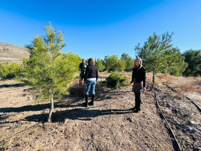 El Ayuntamiento realiza trabajos de mejora de zonas verdes en las pedanías de Zarcilla de Ramos y La Paca - 1, Foto 1