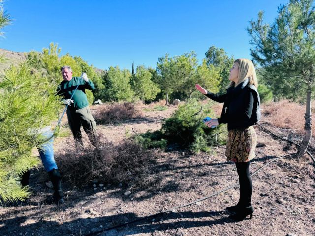 El Ayuntamiento realiza trabajos de mejora de zonas verdes en las pedanías de Zarcilla de Ramos y La Paca - 3, Foto 3