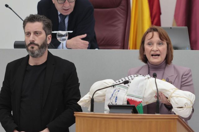 María Marín convierte el Pleno en un homenaje a los inocentes asesinados por Israel en Gaza - 1, Foto 1