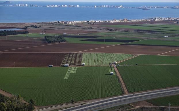 IUVRM exige máxima determinación a la oposición parlamentaria porque la situación del Mar Menor no admite prórrogas - 1, Foto 1