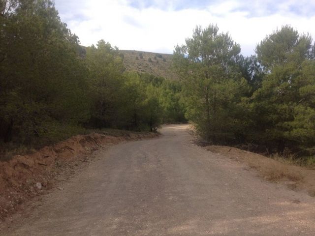 El Ayuntamiento lleva a cabo la protección ambiental del Cerro del Tornajo y su entorno - 1, Foto 1