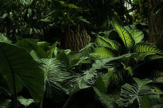 Grupo Sesé, el gigante aragonés de logística, se lanza a la conquista de la última milla sostenible - 1, Foto 1