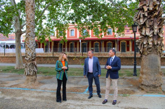 El Ayuntamiento vuelve a pedir a Adif que salve más de 300 árboles afectados por las obras del soterramiento en Lorca - 3, Foto 3