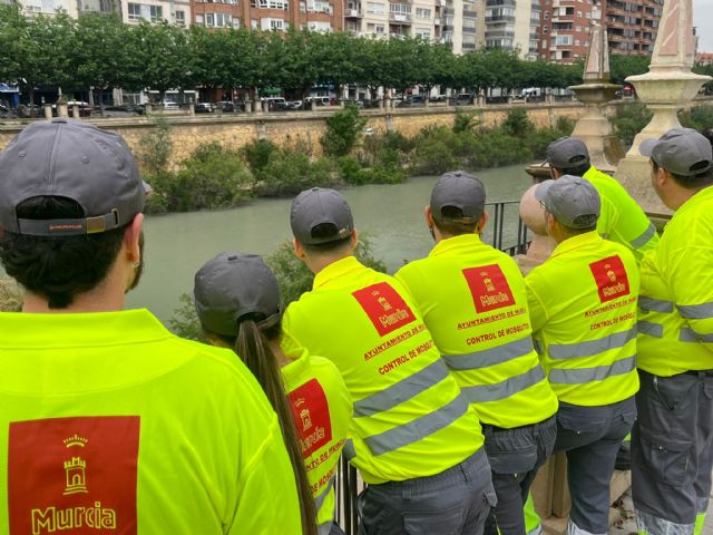 Murcia intensifica los trabajos para luchar contra el mosquito tigre en el municipio - 2, Foto 2