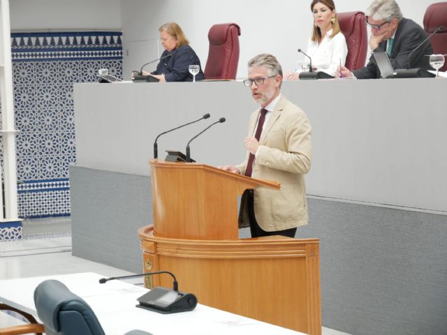 Vox vota con PSOE y Podemos en contra de pedir al Gobierno de España un fondo de nivelación que compense años de castigo en materia de financiación - 1, Foto 1