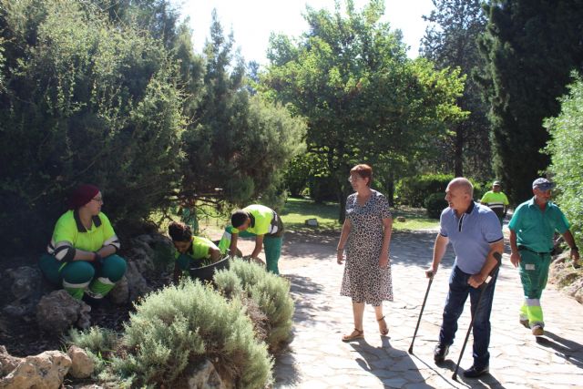 15 jóvenes en desempleo finalizan tras nueve meses el PMEF ‘Actividades auxiliares en viveros, jardines y centros de jardinería’ - 4, Foto 4