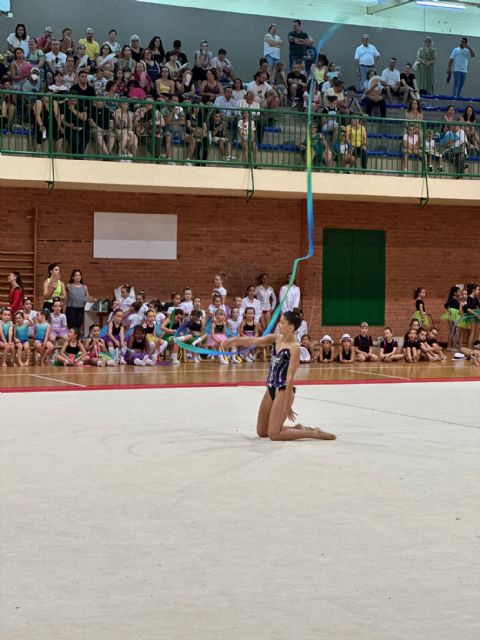 Exhibición de la Escuela de Gimnasia Rítmica de Torre Pacheco - 4, Foto 4