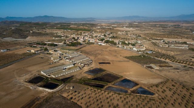 Izquierda Unida-Verdes pide la dimisión del consejero de Agricultura en funciones, Antonio Luengo, por autorizar ampliaciones de macrogranjas sin los preceptivos trámites medioambientales - 1, Foto 1