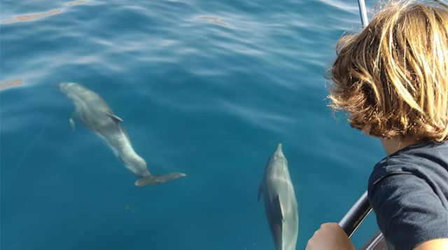 María y la ciudad de los delfines María y la ciudad de los delfines