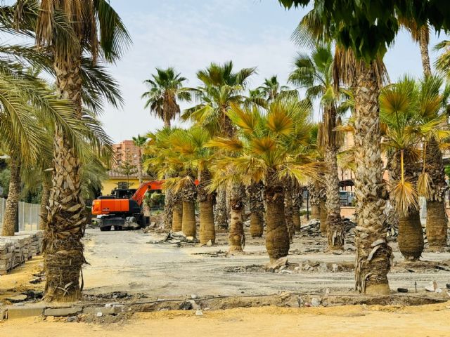 El Ayuntamiento de Lorca se congratula que Adif atienda sus peticiones y trasplante parte del arbolado afectado por las obras del AVE - 1, Foto 1