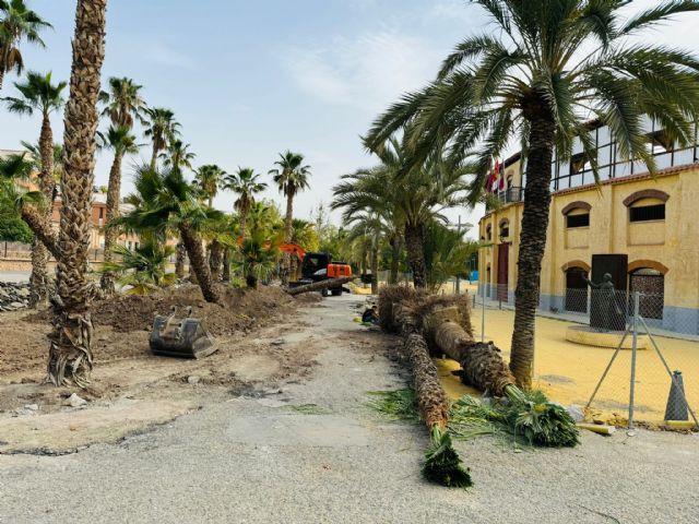 El Ayuntamiento de Lorca se congratula que Adif atienda sus peticiones y trasplante parte del arbolado afectado por las obras del AVE - 3, Foto 3