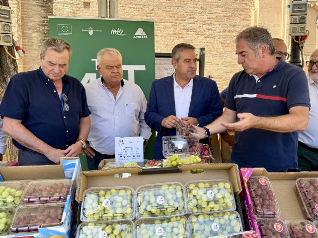 Las ventas al exterior de uva de mesa de la Región crecen un 19 por ciento y alcanzan un récord de 292 millones en 2025 Las ventas al exterior de uva de mesa de la Región crecen un 19 por ciento y alcanzan un récord de 292 millones en 2025
