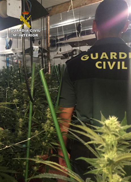 La Guardia Civil desmantela un invernadero clandestino de marihuana en Lorquí - 2, Foto 2