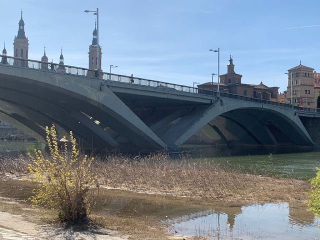 CHA respalda la queja del Centro Natación Helios y reclama en el Senado la retirada de los troncos de árboles trabados en el río Ebro - 1, Foto 1