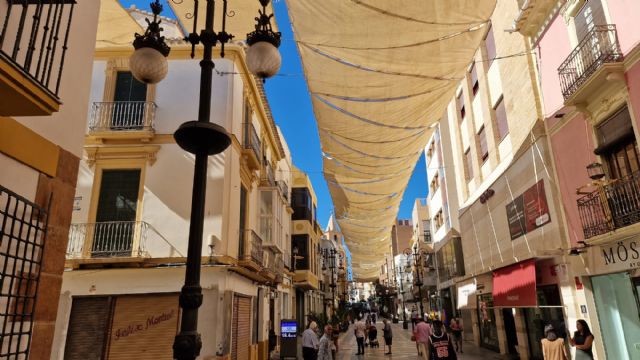 El PSOE solicita la reposición de los 50 maceteros colgantes para el embelleciendo las calles y plazas de Lorca - 2, Foto 2