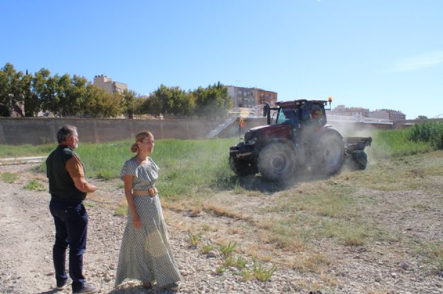 Arranca la limpieza del cauce del Guadalentín a su paso por Lorca - 1, Foto 1