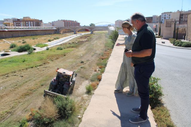 Arranca la limpieza del cauce del Guadalentín a su paso por Lorca - 2, Foto 2