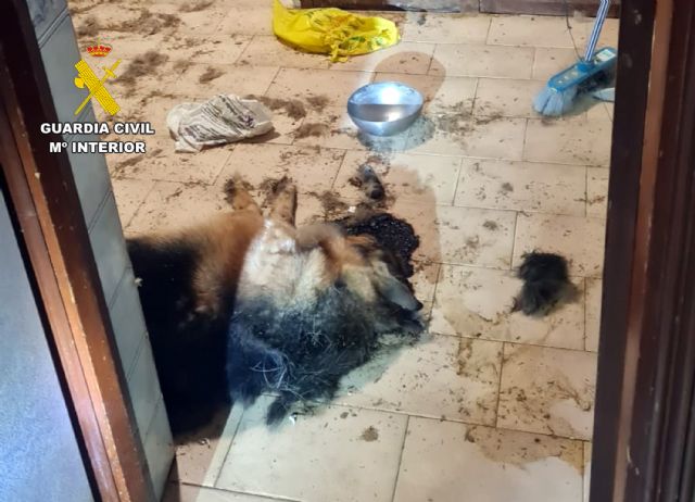 La Guardia Civil investiga a una vecina de Isla Plana por maltrato animal - 1, Foto 1