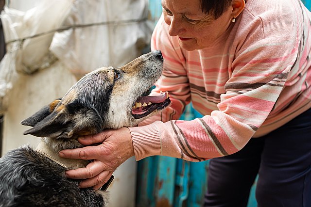 Las terapias asistidas con animales, una herramienta terapéutica cada vez más utilizada entre las personas mayores - 1, Foto 1