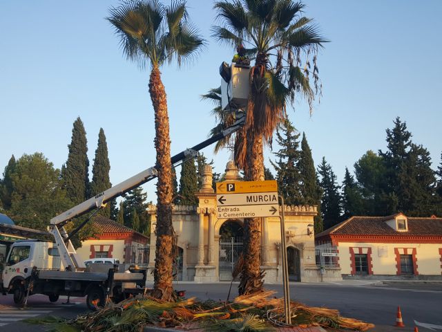 El Ayuntamiento revisa las zonas verdes municipales del exterior de los cementerios - 1, Foto 1