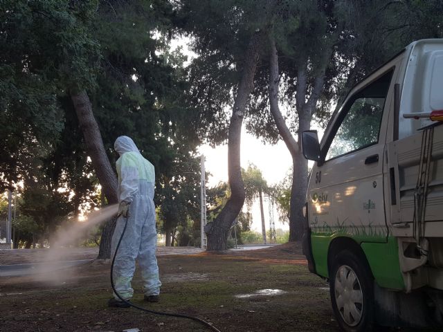 El Ayuntamiento revisa las zonas verdes municipales del exterior de los cementerios - 2, Foto 2