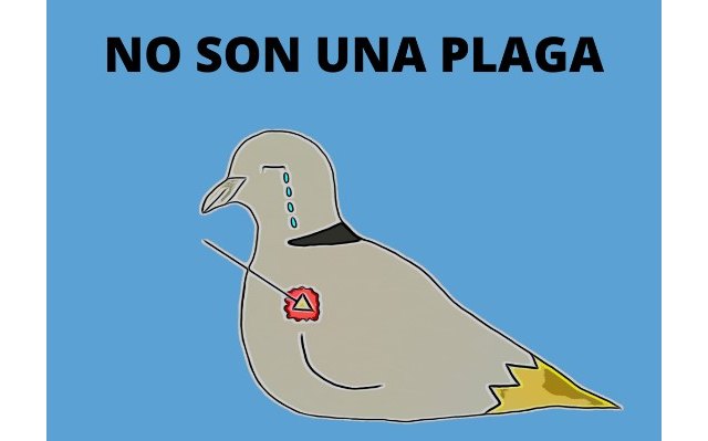 Quiero transmitir a los niños mi amor por las palomas a través de Usita - Carla Siso, ilustradora - 1, Foto 1