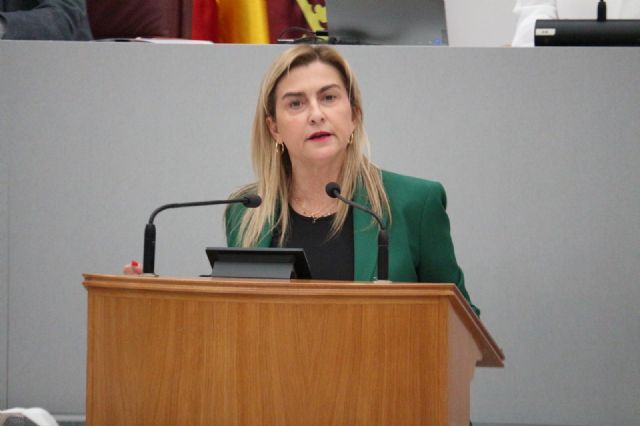 Carmina Fernández: El PP y Vox se oponen a proteger la salud de las personas y el medio ambiente al rechazar un plan de mejora de la calidad del aire - 1, Foto 1