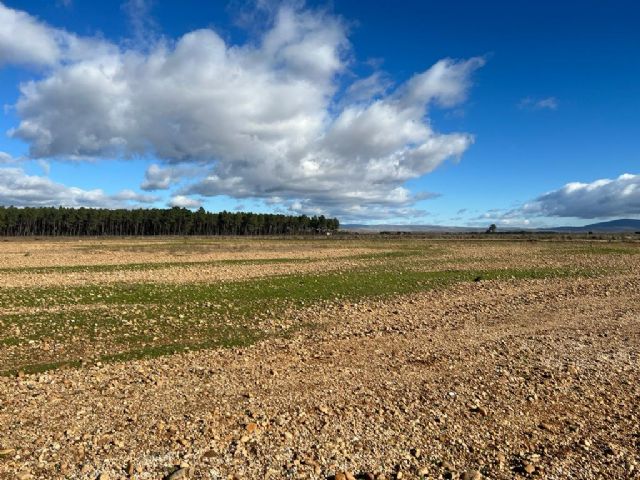 Redexis construirá su primera planta de producción de hidrógeno verde, invirtiendo más de 10 millones de euros - 1, Foto 1