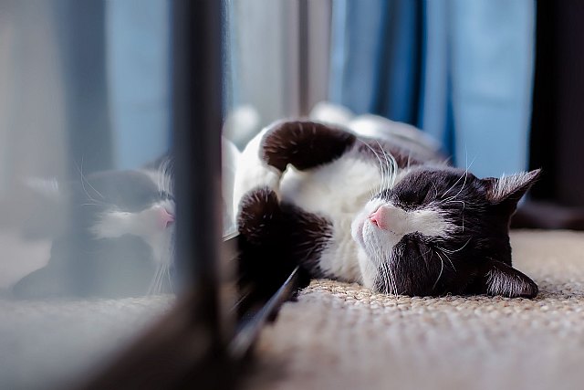 Prepara tu casa para el invierno en sólo 7 pasos - 1, Foto 1