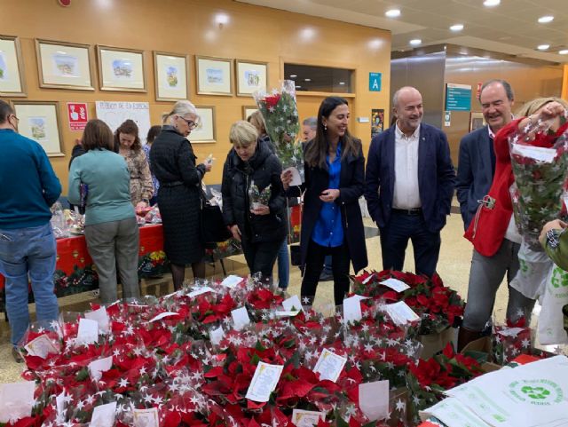 Sara anima a los consumidores de la Región a comprar flores de pascua de cara a la campaña de Navidad - 1, Foto 1