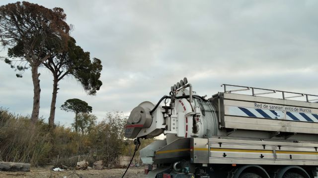 El Ayuntamiento aplica otro riego de emergencia y un tratamiento de endoterapia a los pinos centenarios de Churra - 4, Foto 4