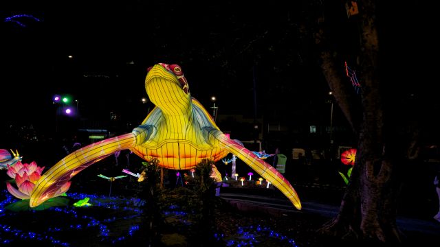 Miles de personas visitan 'Lucidum' convirtiendo este jardín bioluminescente en uno de los éxitos de la Navidad en Murcia - 3, Foto 3