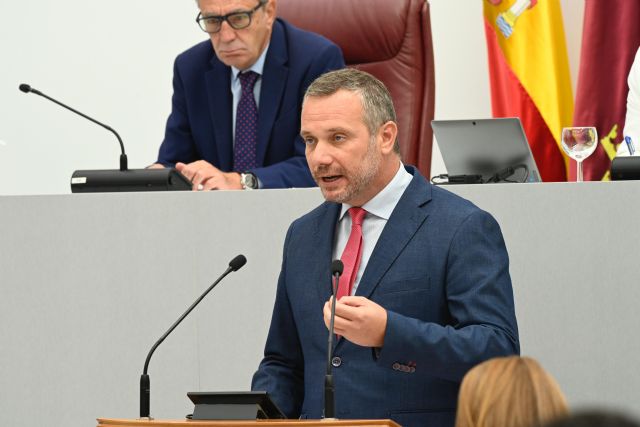 Segado: López Miras va a Madrid a trabajar por los intereses de la Región; Vélez, a aplaudir las tropelías de su jefe Sánchez - 1, Foto 1