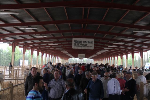 La Feria de Ganado Equino de Puerto Lumbreras reúne a más de 400 ejemplares de ganado - 1, Foto 1