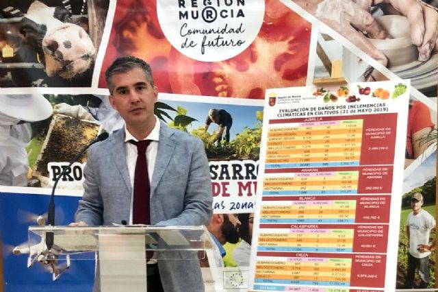 Agricultura cifra en más de 12 millones de euros los daños por el granizo - 1, Foto 1