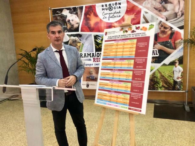 Agricultura cifra en más de 12 millones de euros los daños por el granizo - 2, Foto 2