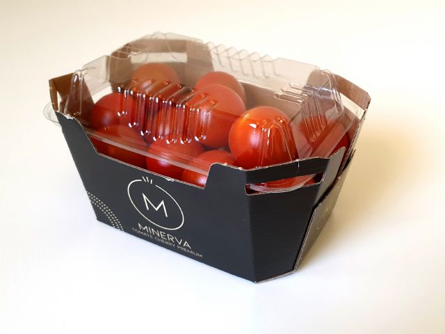 Looije presenta a Minerva, su nueva marca de tomate cherry - 1, Foto 1