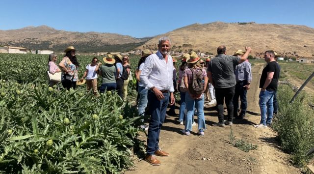 El Llano de Zafarraya, la única huerta de España donde brotan alcachofas en verano - 1, Foto 1