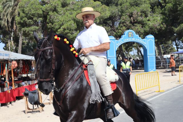 El XXIX encuentro de carruajes recorre las calles de San Pedro del Pinatar desde la Real Feria de Ganado hasta las playas - 5, Foto 5