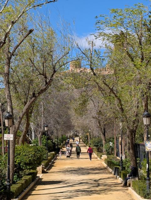 El Ayuntamiento de Lorca refuerza los tratamientos para controlar las poblaciones de mosquitos en la ciudad El Ayuntamiento de Lorca refuerza los tratamientos para controlar las poblaciones de mosquitos en la ciudad