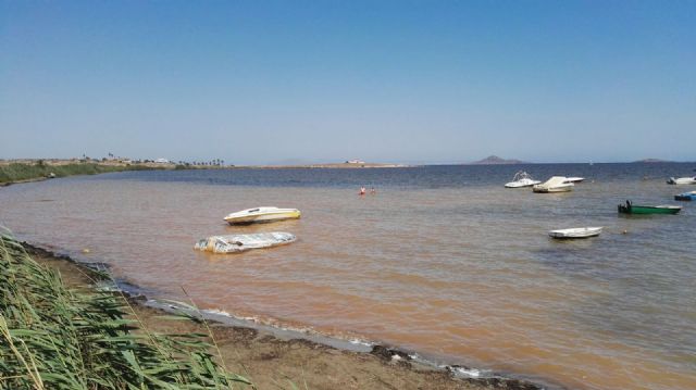 El PSOE pide al Gobierno regional actuaciones urgentes y creíbles para frenar el galopante deterioro del Mar Menor - 1, Foto 1