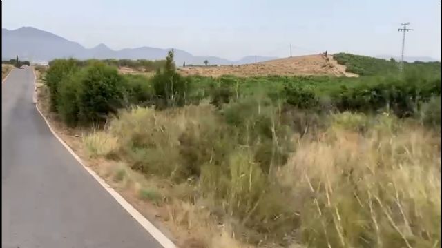 El PP reclama el desbroce y limpieza urgente de la carretera entre Almendricos y La Campana, tras las numerosas quejas vecinales por el estado que presenta - 2, Foto 2