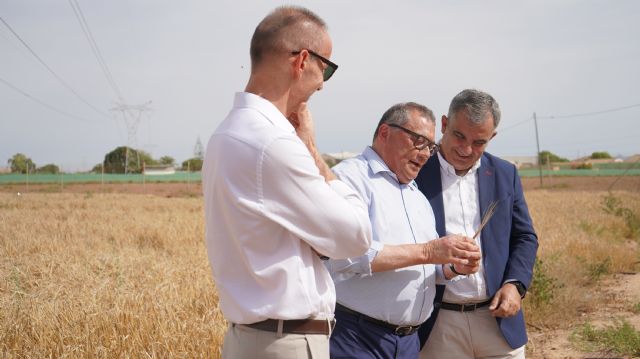 Demuestran que fertirregar cebada con agua de pozo es viable y desnitrifica - 2, Foto 2