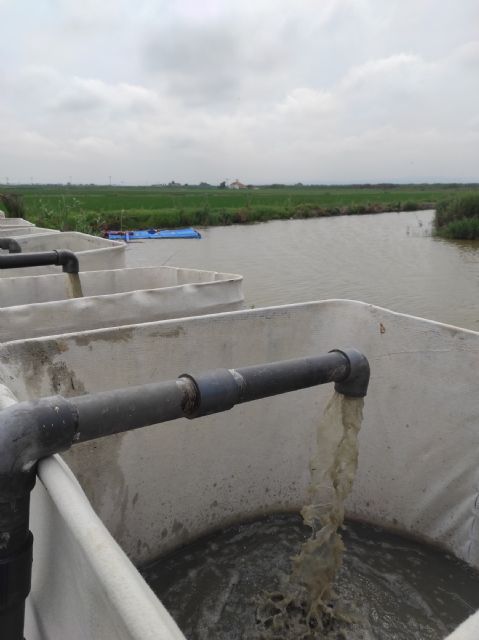 Ensayan en la Albufera de Valencia el sistema de extracción de lodos patentado por un egresado de la UPCT - 2, Foto 2